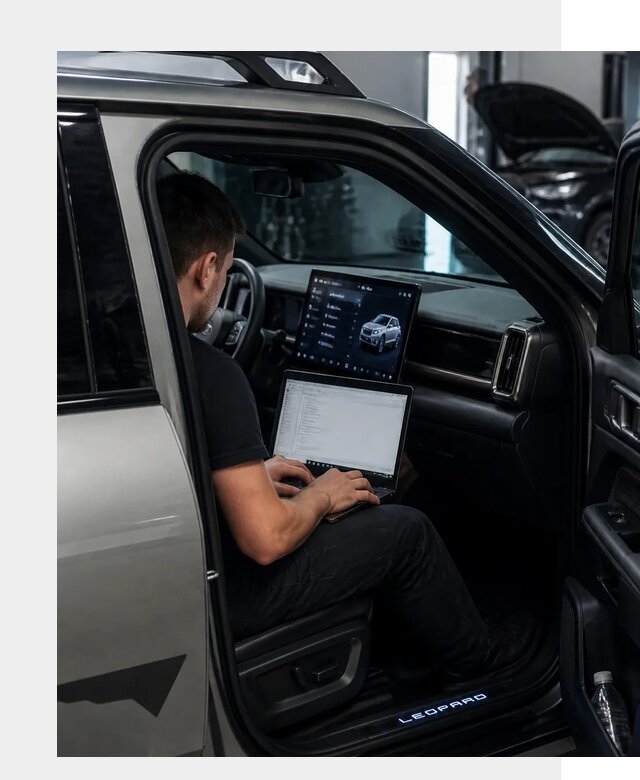 Русификация BYD Leopard 3 в Еманжелинске по цене от 20439 р. | ФастМобиль-Мнж